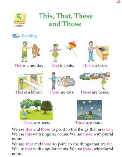 2nd Grade Grammar This, That, These and Those.jpg